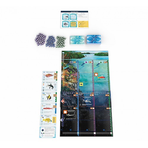 Finspan: Sharks and Reefs Finspan: Sharks and Reefs